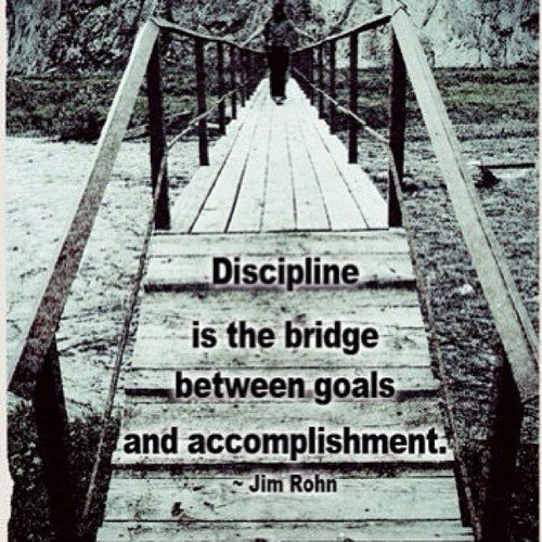 disciplina este puntea intre scop si realizare
